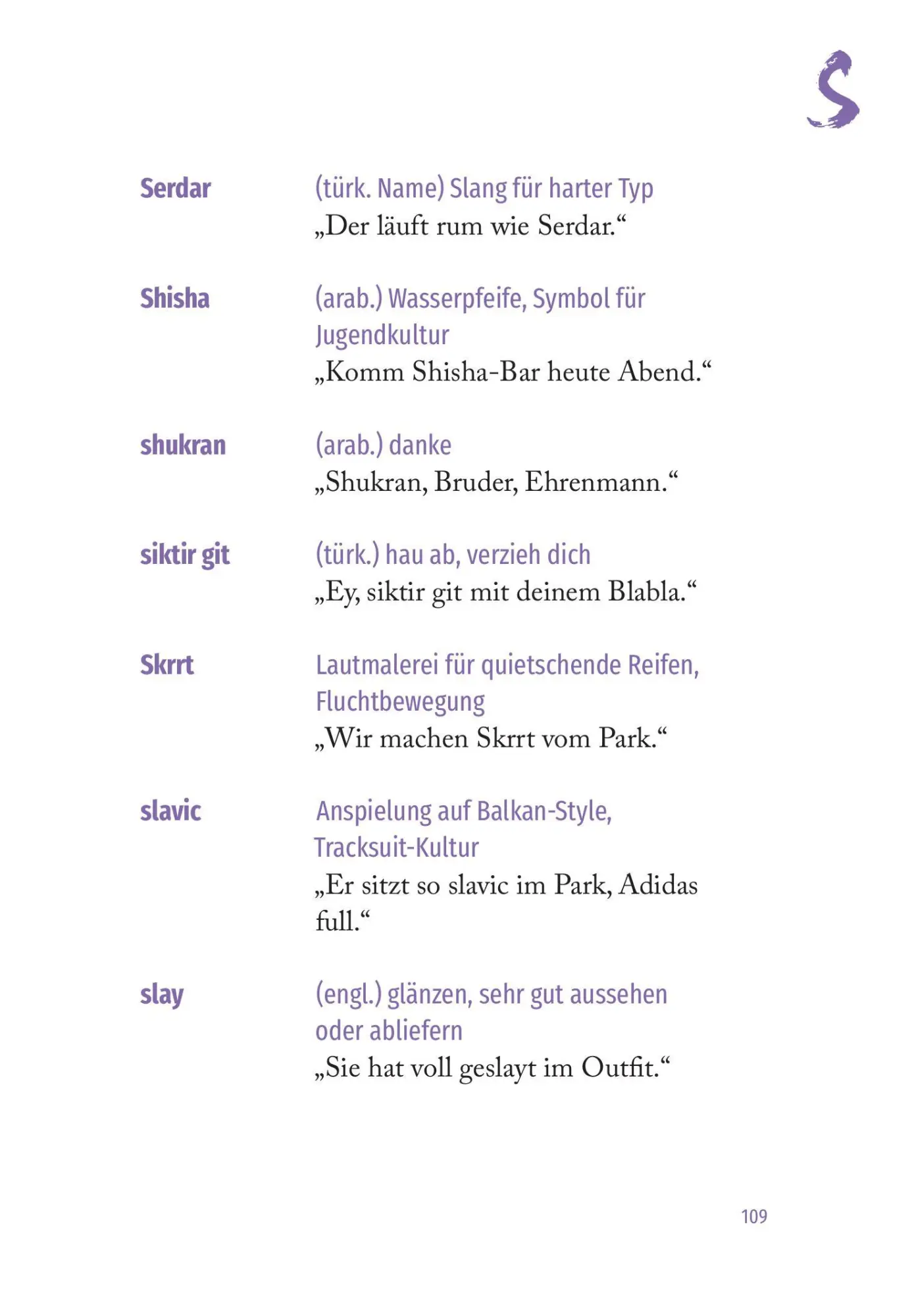 Bild: 9783800077953 | Bin Straßenbahn, wallah | Das Ethnolekt-Wörterbuch | Matej Jakic BEd