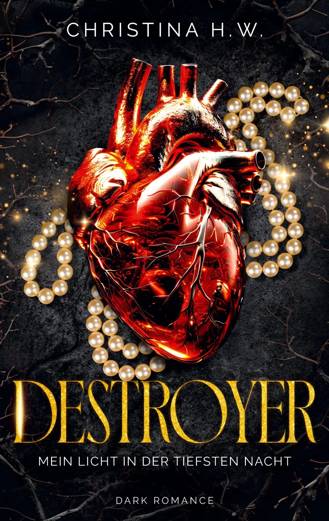 Cover: 9783819297953 | Destroyer | Mein Licht in der tiefsten Nacht | Christina H. W. | Buch