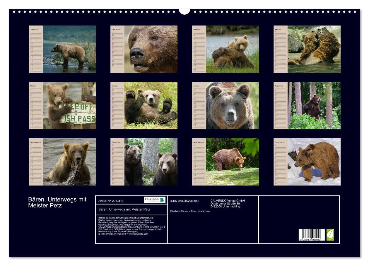 Bild: 9783457988053 | Bären. Unterwegs mit Meister Petz (Wandkalender 2026 DIN A2 quer),...