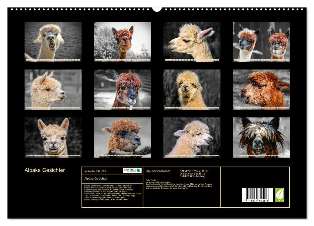 Bild: 9783569788053 | Alpaka Gesichter (hochwertiger Premium Wandkalender 2027 DIN A2...