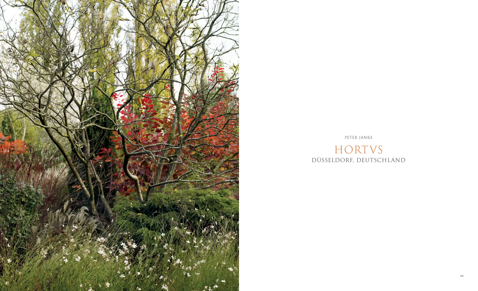 Bild: 9783912078053 | Pastorale Gärten | Clare Foster | Buch | 480 S. | Deutsch | 2026