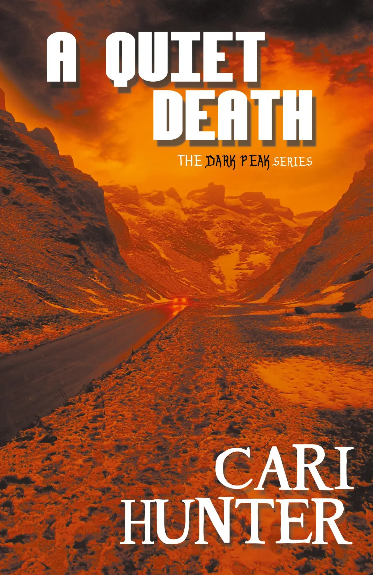 Cover: 9781626398153 | A Quiet Death | Cari Hunter | Taschenbuch | Englisch | 2017