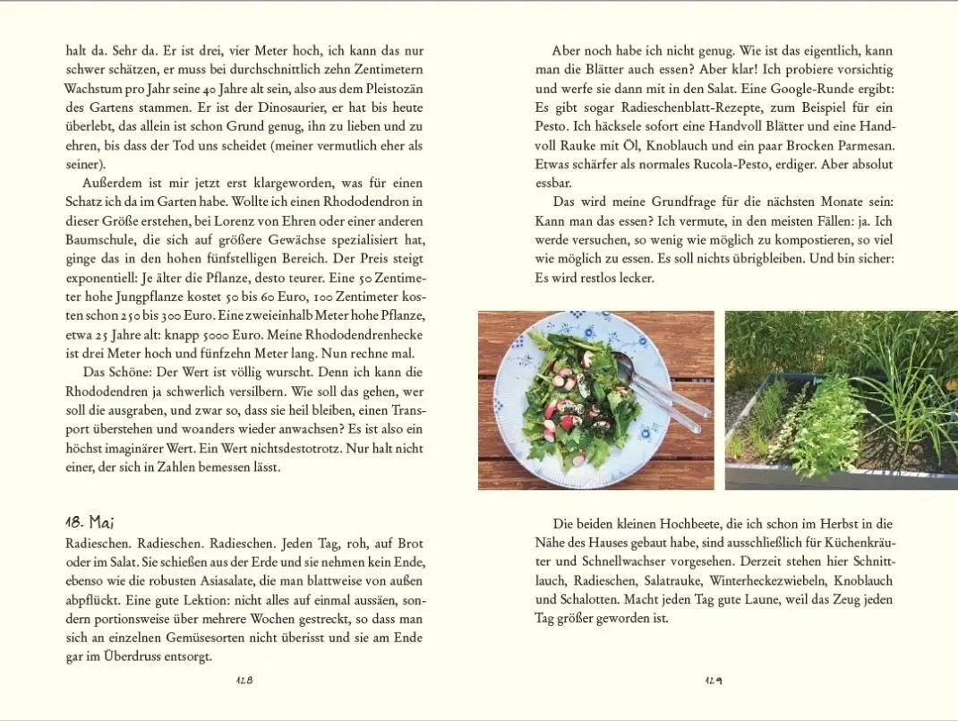 Bild: 9783328108153 | Bin im Garten | Meike Winnemuth | Taschenbuch | 336 S. | Deutsch