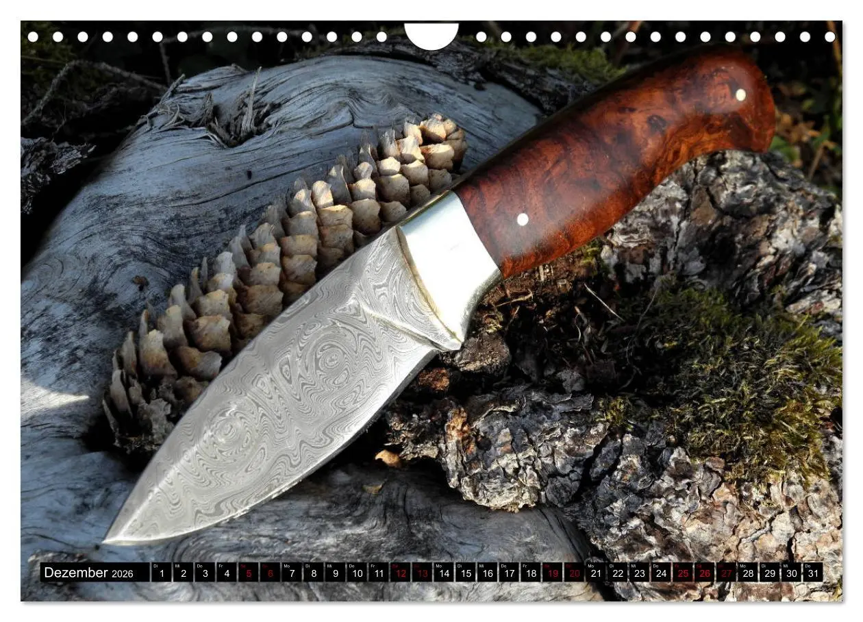 Bild: 9783457668153 | Schön - Scharf - Schnittig (Wandkalender 2026 DIN A4 quer),...