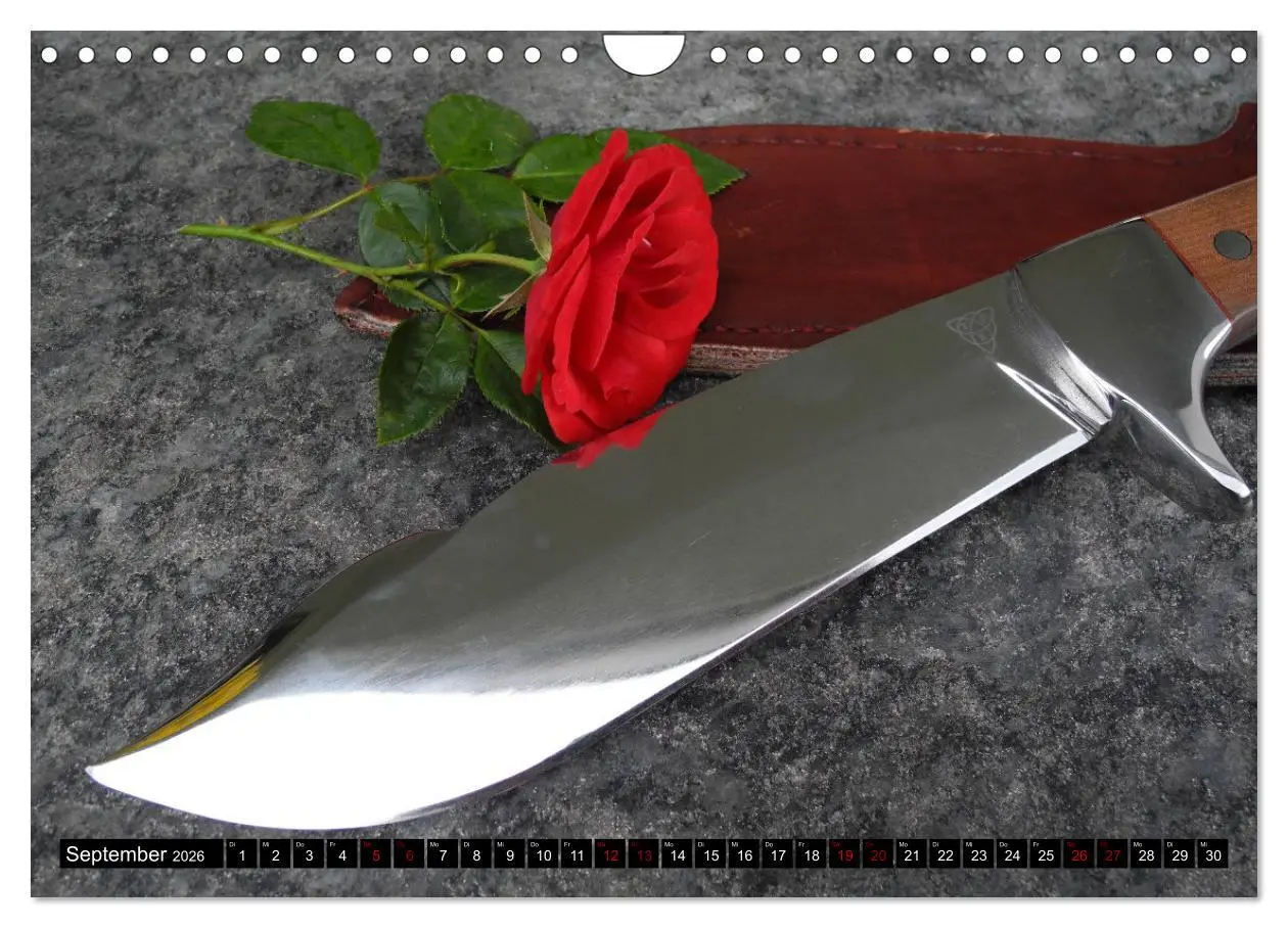 Bild: 9783457668153 | Schön - Scharf - Schnittig (Wandkalender 2026 DIN A4 quer),...