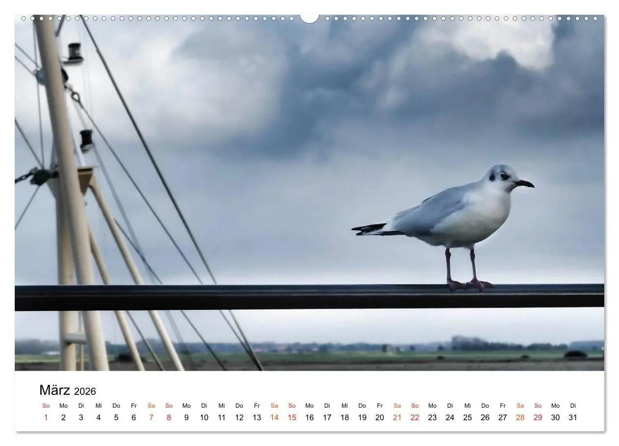 Bild: 9783457978153 | Wieder an der Nordsee (hochwertiger Premium Wandkalender 2026 DIN...