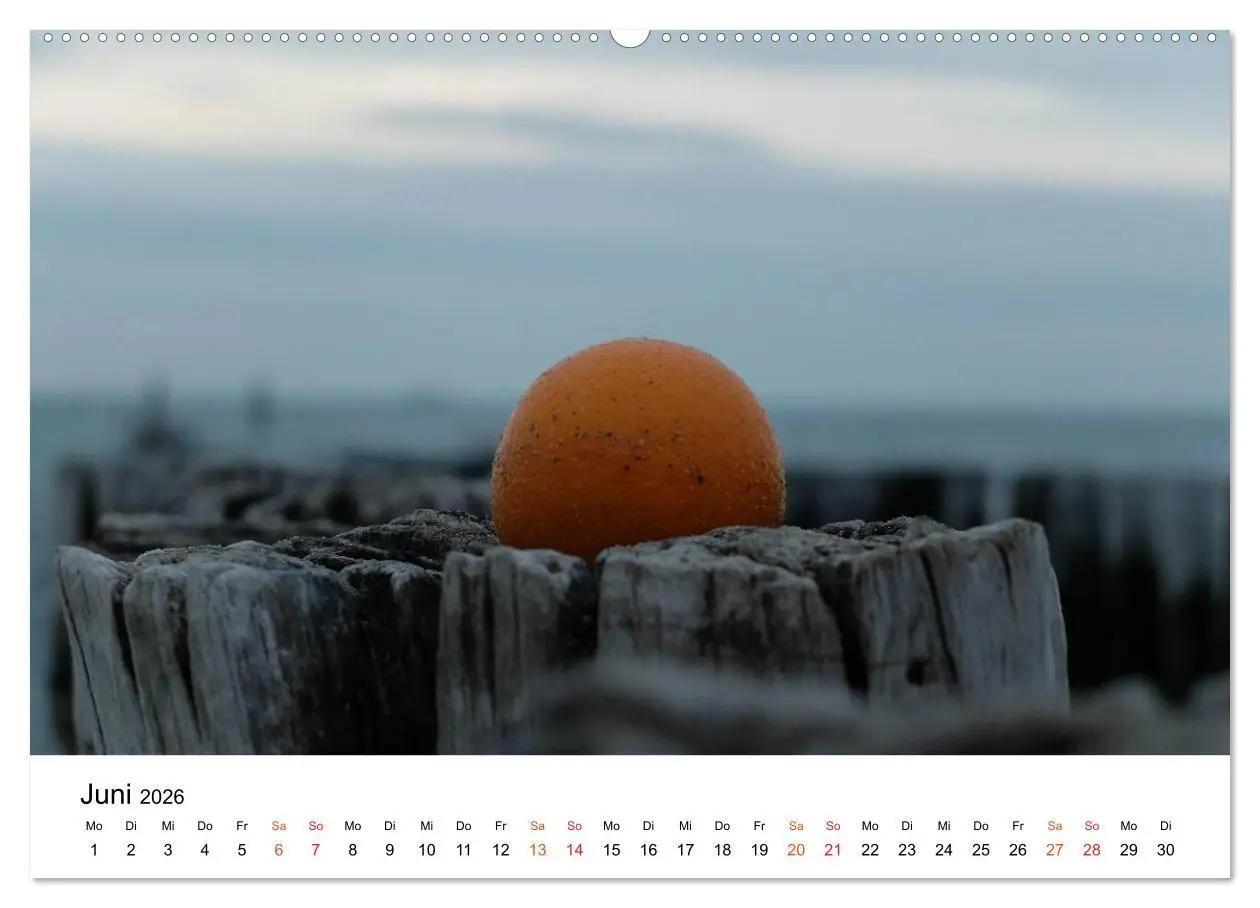 Bild: 9783457978153 | Wieder an der Nordsee (hochwertiger Premium Wandkalender 2026 DIN...