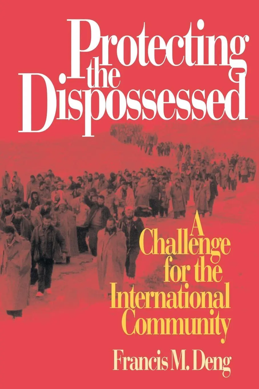 Cover: 9780815718253 | Protecting the Dispossessed | Francis M. Deng | Taschenbuch | Englisch