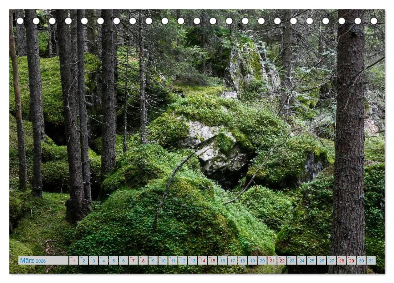 Bild: 9783457898253 | Schönes Südtirol (Tischkalender 2026 DIN A5 quer), CALVENDO...