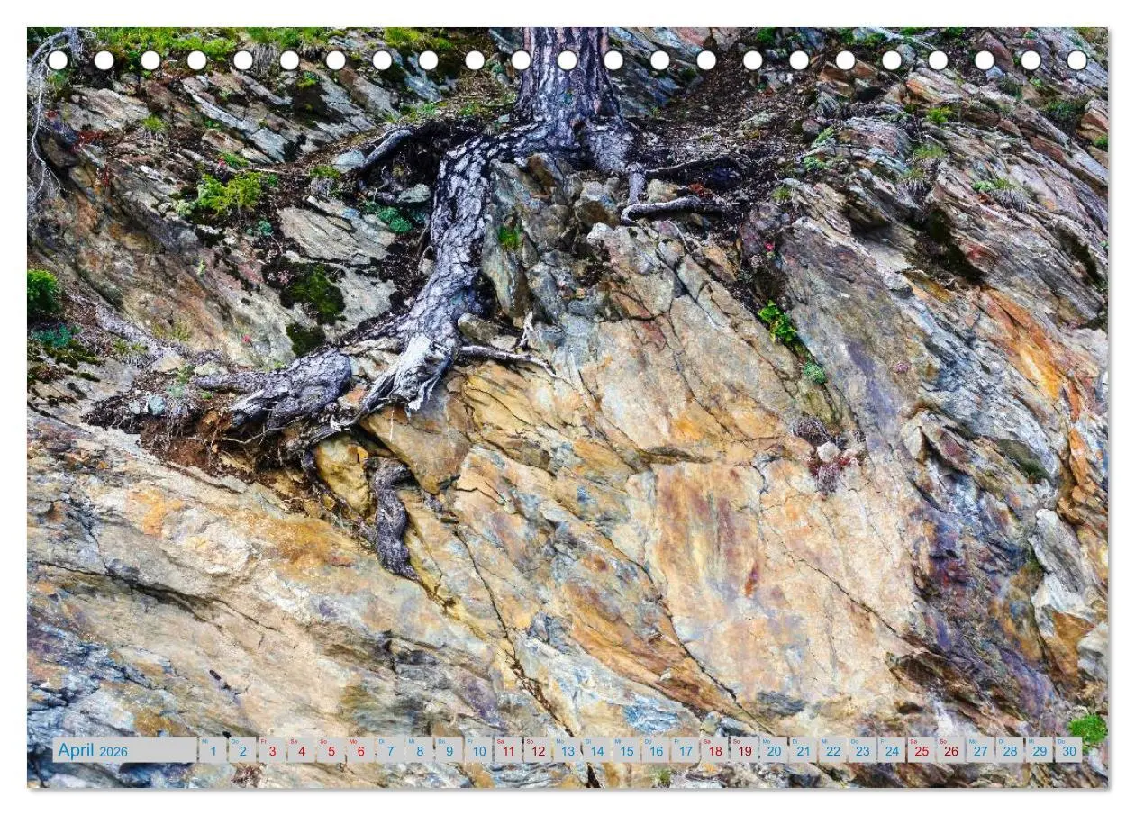 Bild: 9783457898253 | Schönes Südtirol (Tischkalender 2026 DIN A5 quer), CALVENDO...