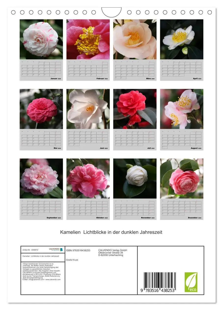 Bild: 9783516438253 | Kamelien Lichtblicke in der dunklen Jahreszeit (Wandkalender 2026...