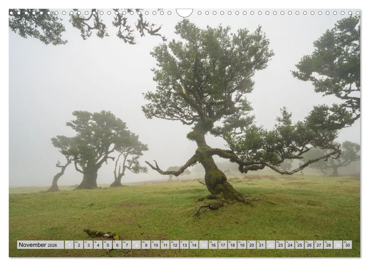 Bild: 9783516508253 | Wunderschönes Madeira (Wandkalender 2026 DIN A3 quer), CALVENDO...