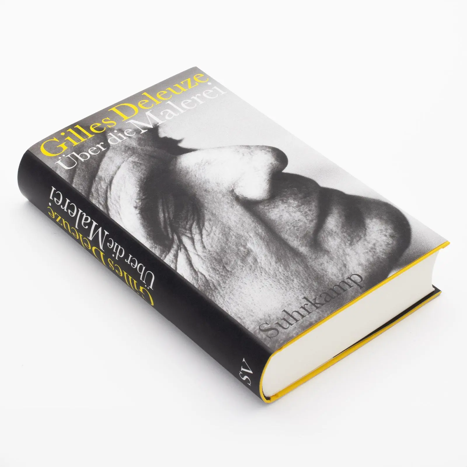 Bild: 9783518588253 | Über die Malerei | Gilles Deleuze | Buch | 432 S. | Deutsch | 2025