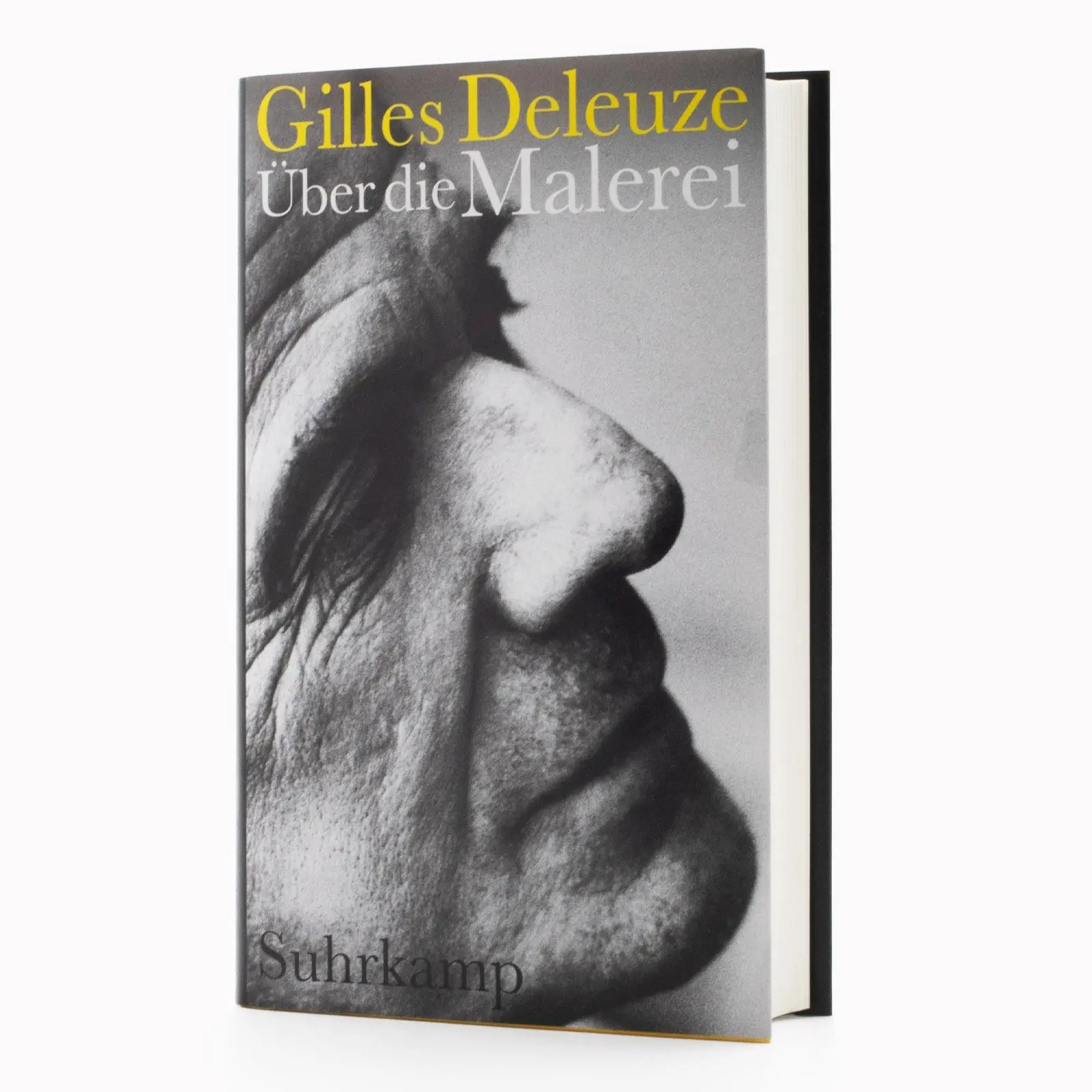 Bild: 9783518588253 | Über die Malerei | Gilles Deleuze | Buch | 432 S. | Deutsch | 2025