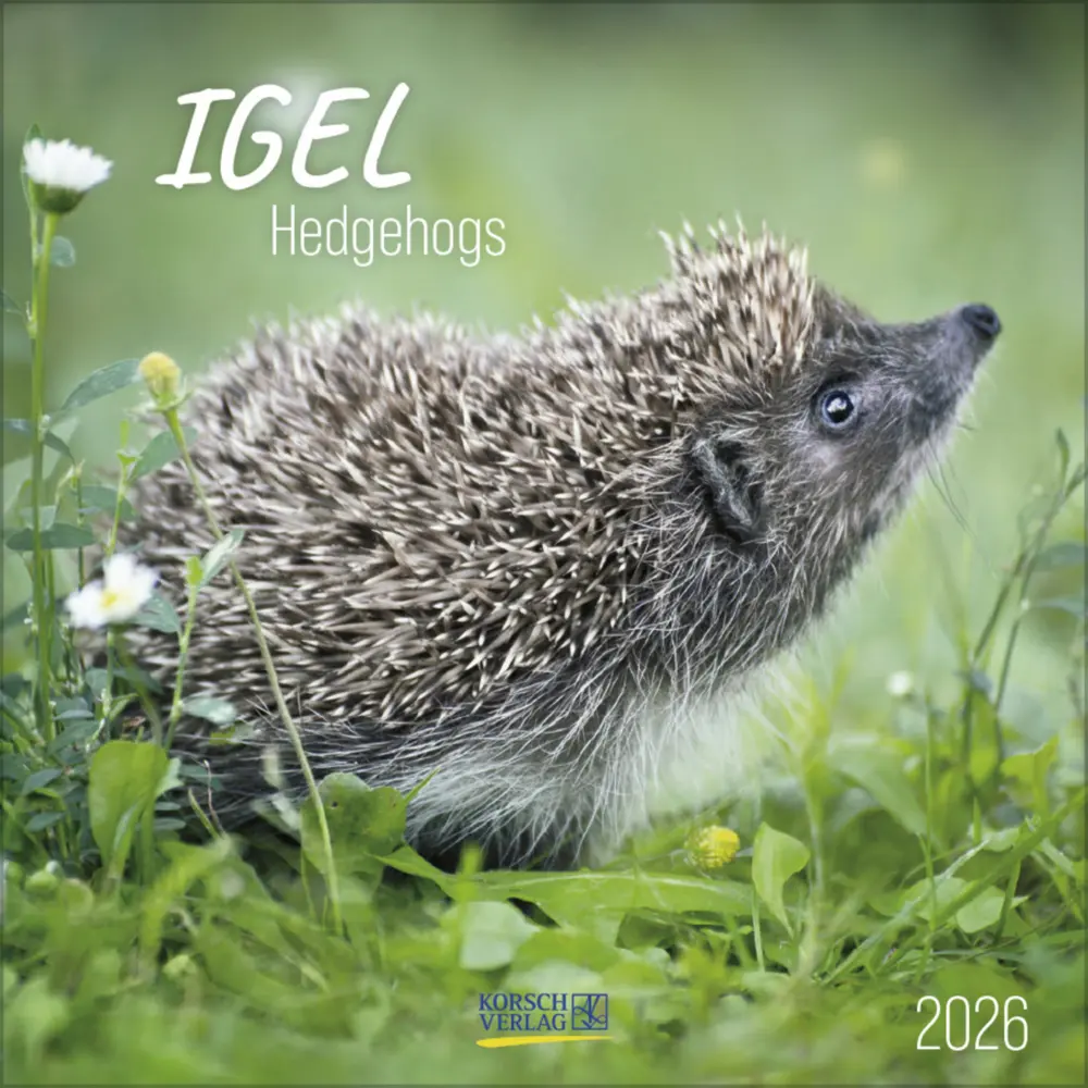Cover: 9783731888253 | Igel 2026 | Korsch Verlag | Kalender | Englisch Broschur | 13 S.