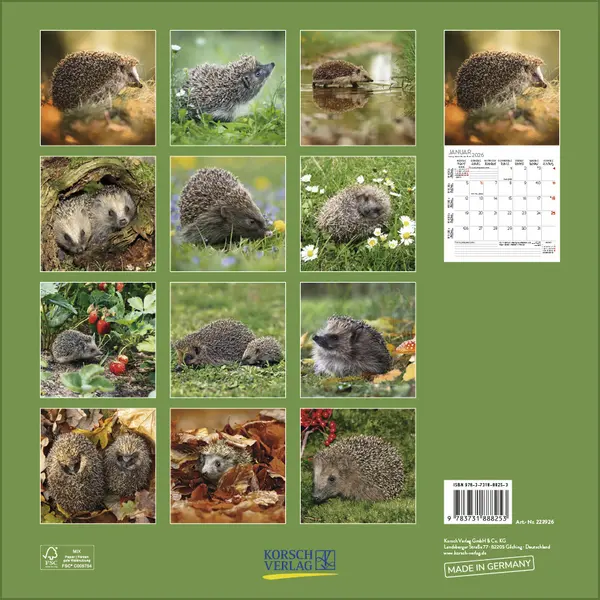 Bild: 9783731888253 | Igel 2026 | Korsch Verlag | Kalender | Englisch Broschur | Deutsch
