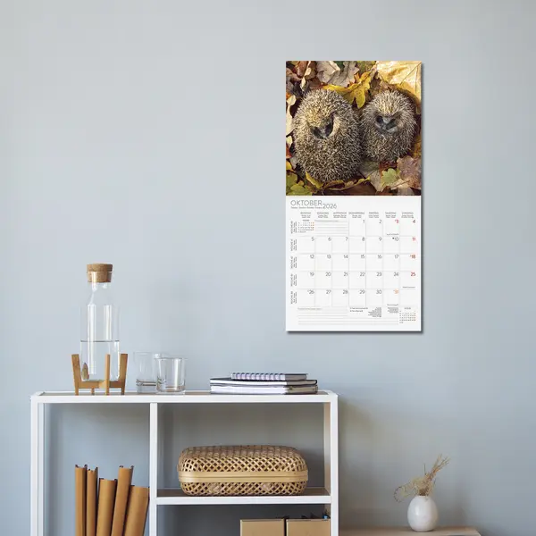 Bild: 9783731888253 | Igel 2026 | Korsch Verlag | Kalender | Englisch Broschur | Deutsch