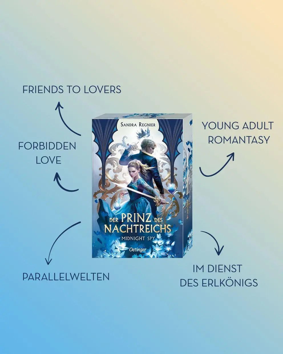Bild: 9783751208253 | Der Prinz des Nachtreichs 1. Midnight Spy | Sandra Regnier | Buch