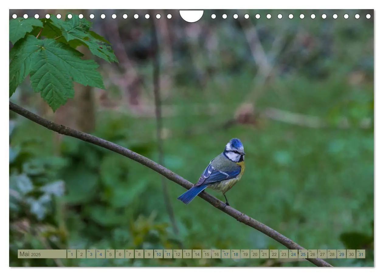 Bild: 9783435318353 | Woltersdorf bei Berlin (Wandkalender 2025 DIN A4 quer), CALVENDO...