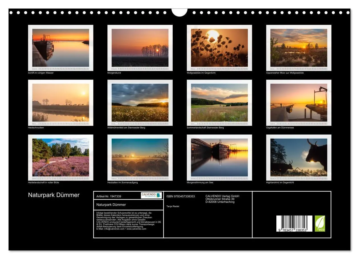 Bild: 9783457338353 | Naturpark Dümmer (Wandkalender 2026 DIN A3 quer), CALVENDO...
