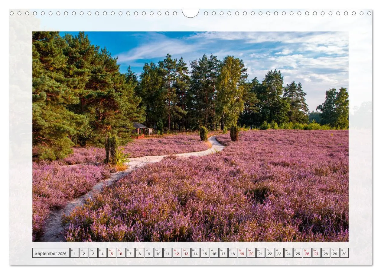 Bild: 9783457338353 | Naturpark Dümmer (Wandkalender 2026 DIN A3 quer), CALVENDO...
