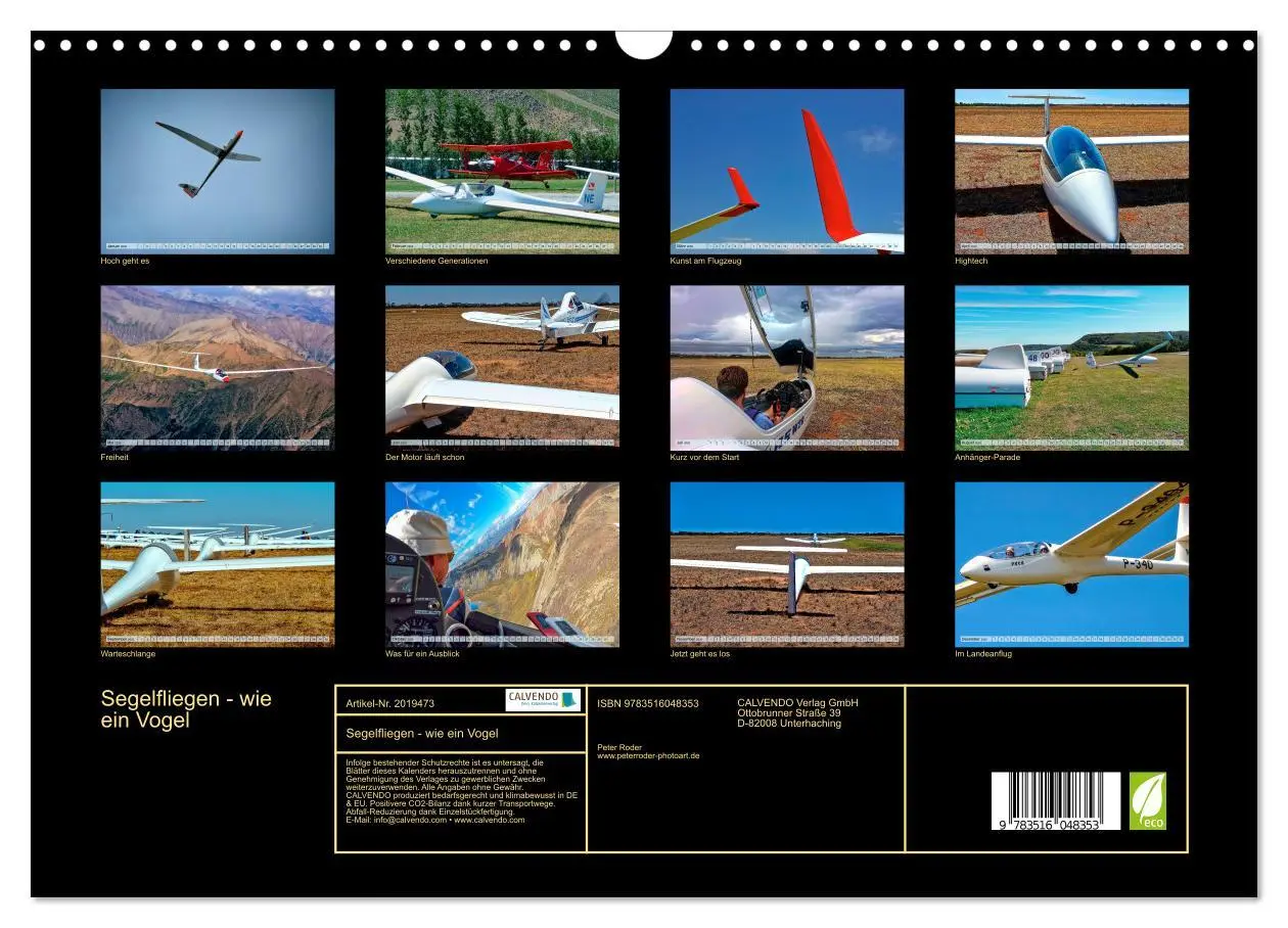 Bild: 9783516048353 | Segelfliegen - wie ein Vogel (Wandkalender 2026 DIN A3 quer),...