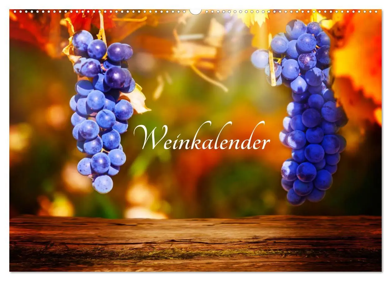 Cover: 9783457878453 | Weinkalender (Wandkalender 2026 DIN A2 quer), CALVENDO Monatskalender