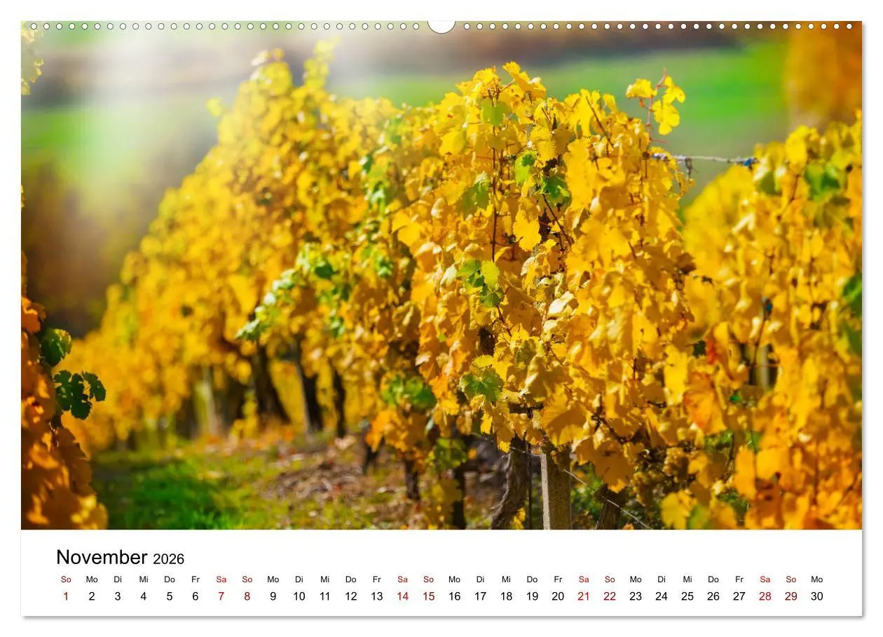 Bild: 9783457878453 | Weinkalender (Wandkalender 2026 DIN A2 quer), CALVENDO Monatskalender
