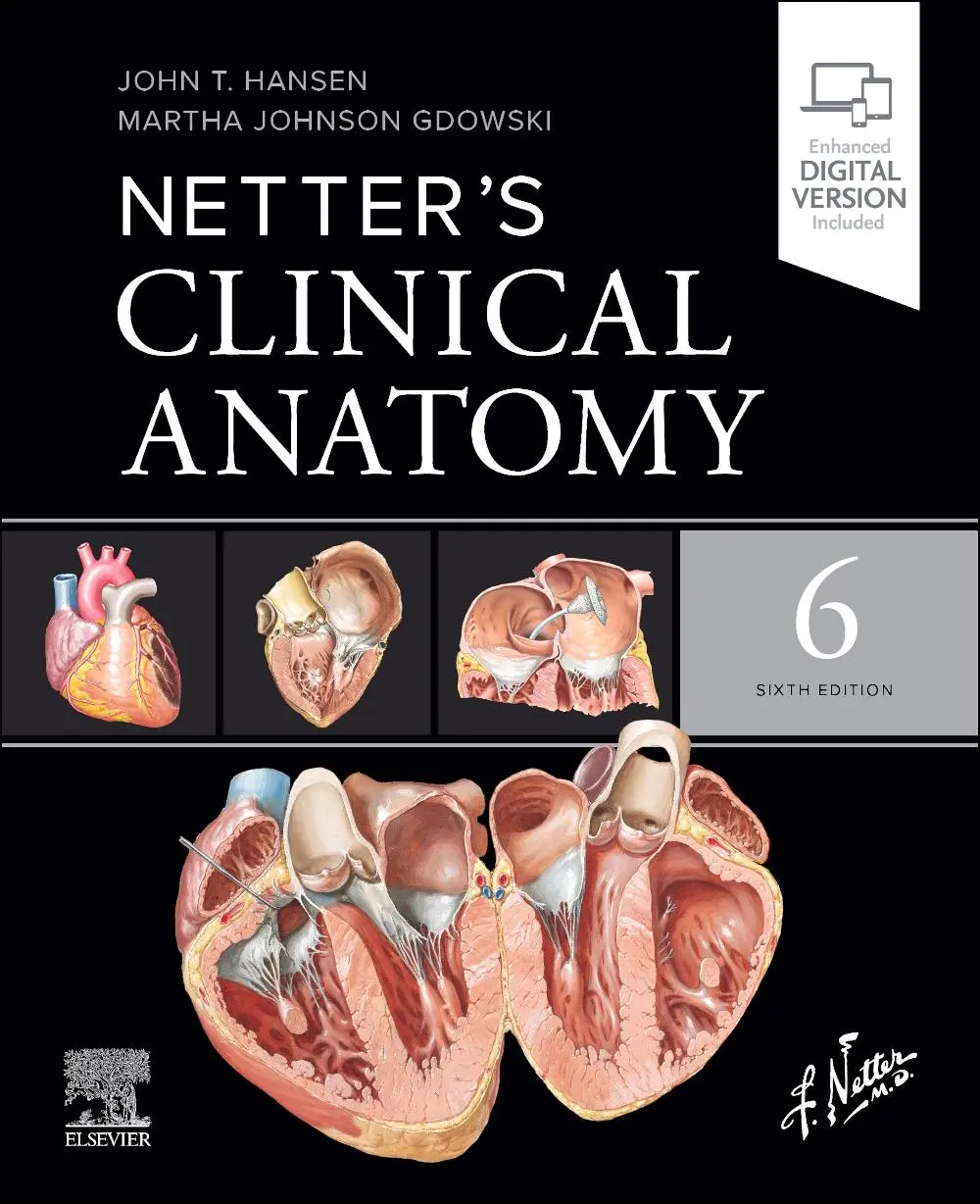 Cover: 9780443378553 | Netter's Clinical Anatomy | John T Hansen (u. a.) | Taschenbuch | 2026