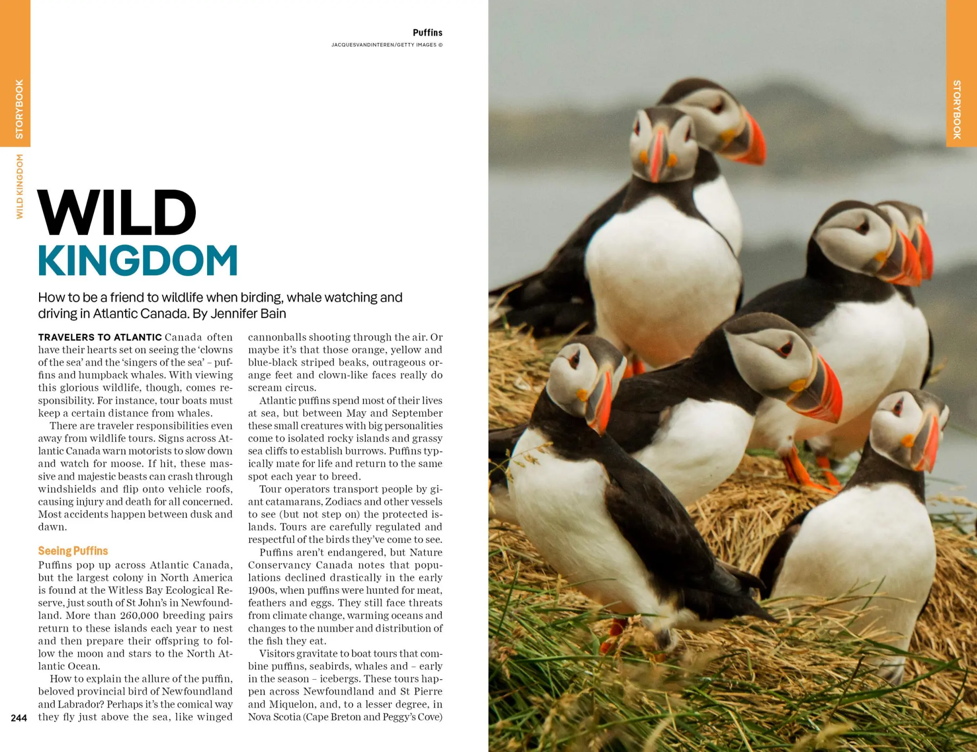 Bild: 9781838698553 | Atlantic Canada | Darcy Rhyno (u. a.) | Taschenbuch | 256 S. | 2024