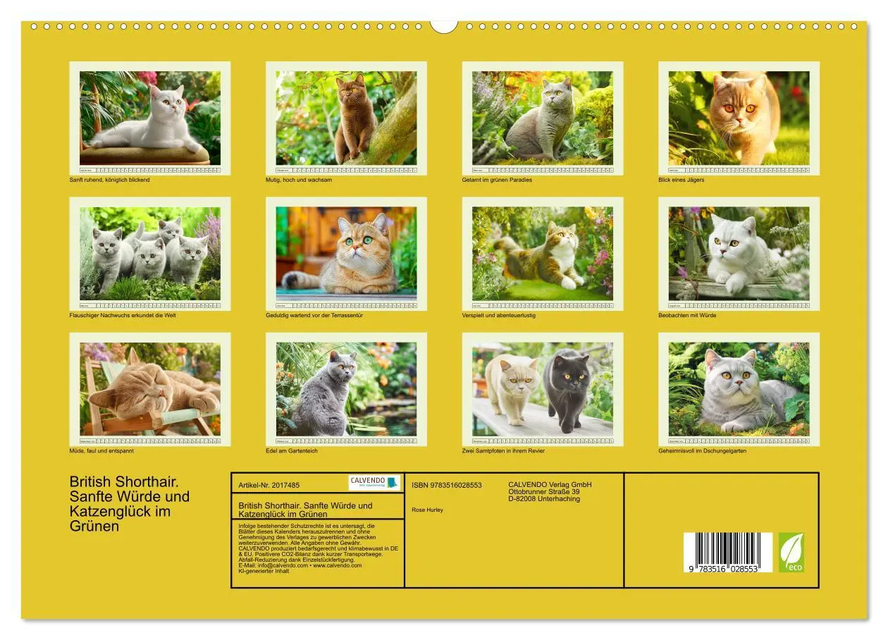 Bild: 9783516028553 | British Shorthair. Sanfte Würde und Katzenglück im Grünen...