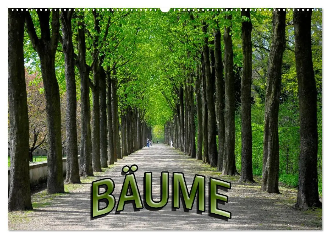 Cover: 9783516178753 | Bäume 2026 (Wandkalender 2026 DIN A2 quer), CALVENDO Monatskalender
