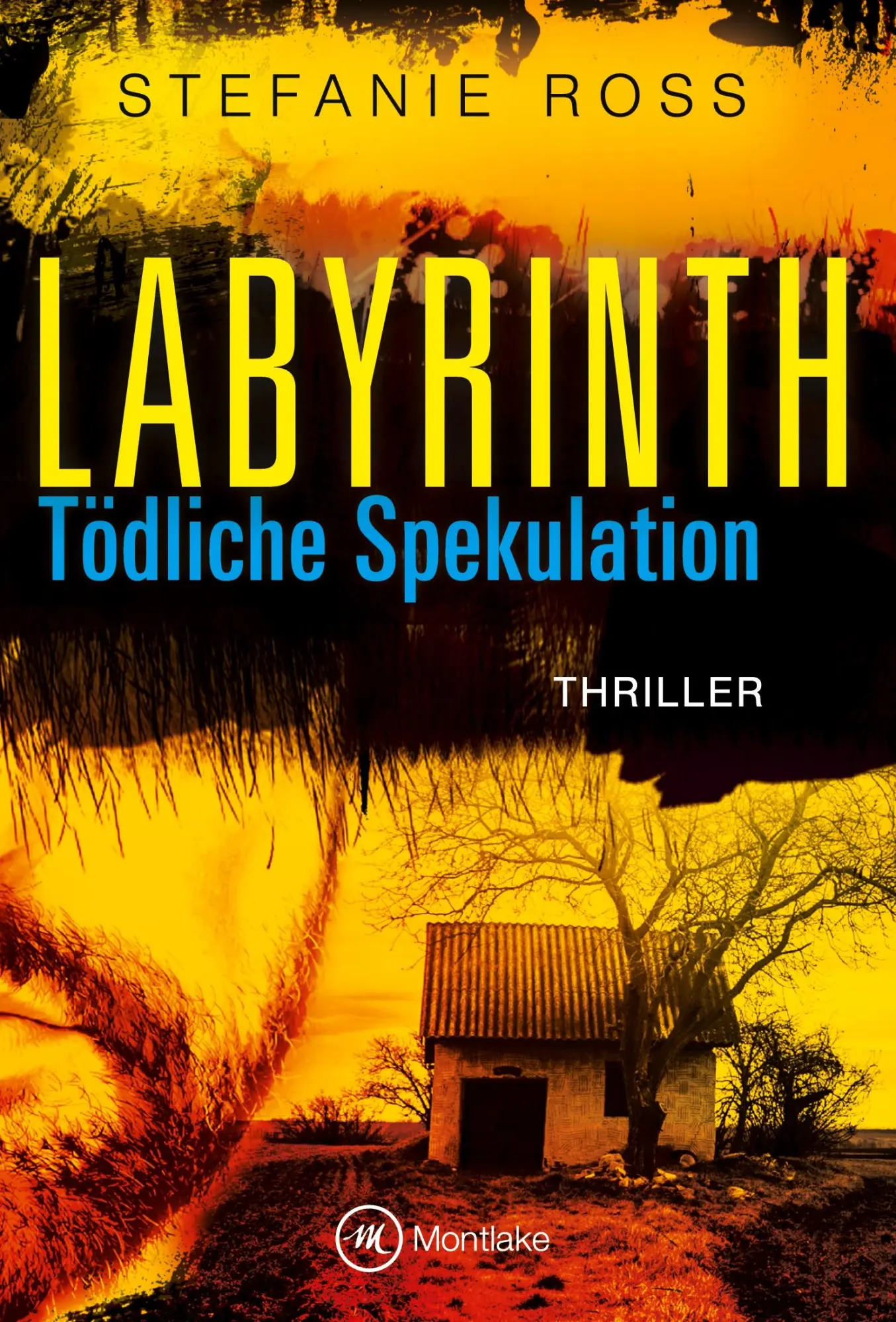 Cover: 9781503948853 | Labyrinth | Tödliche Spekulation | Stefanie Ross | Taschenbuch | 2015