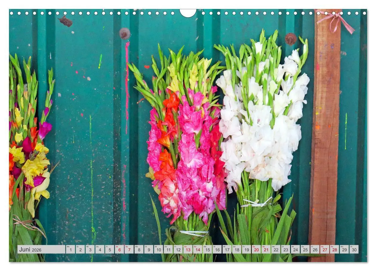 Bild: 9783457458853 | Farbenfrohes Bangladesch (Wandkalender 2026 DIN A3 quer), CALVENDO...