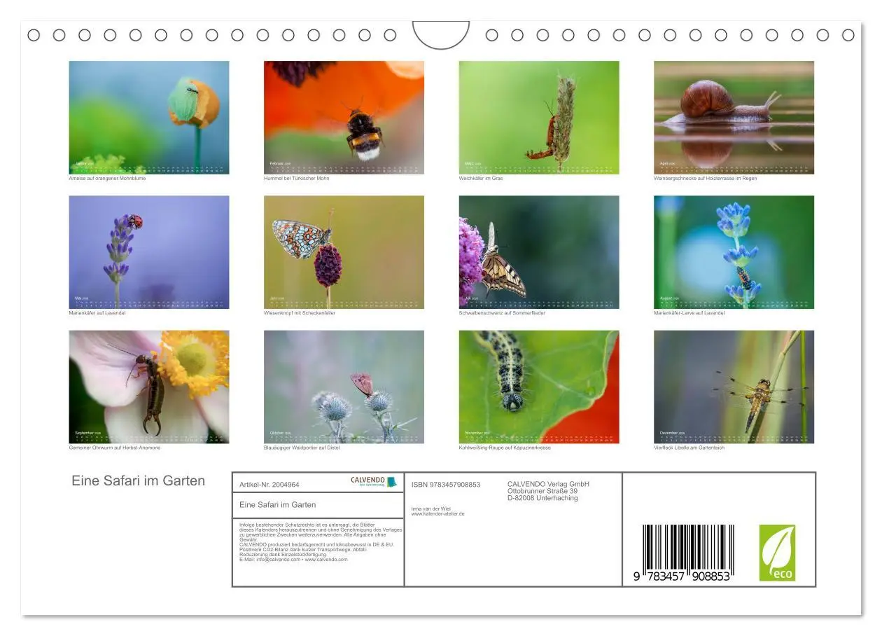 Bild: 9783457908853 | Eine Safari im Garten (Wandkalender 2026 DIN A4 quer), CALVENDO...