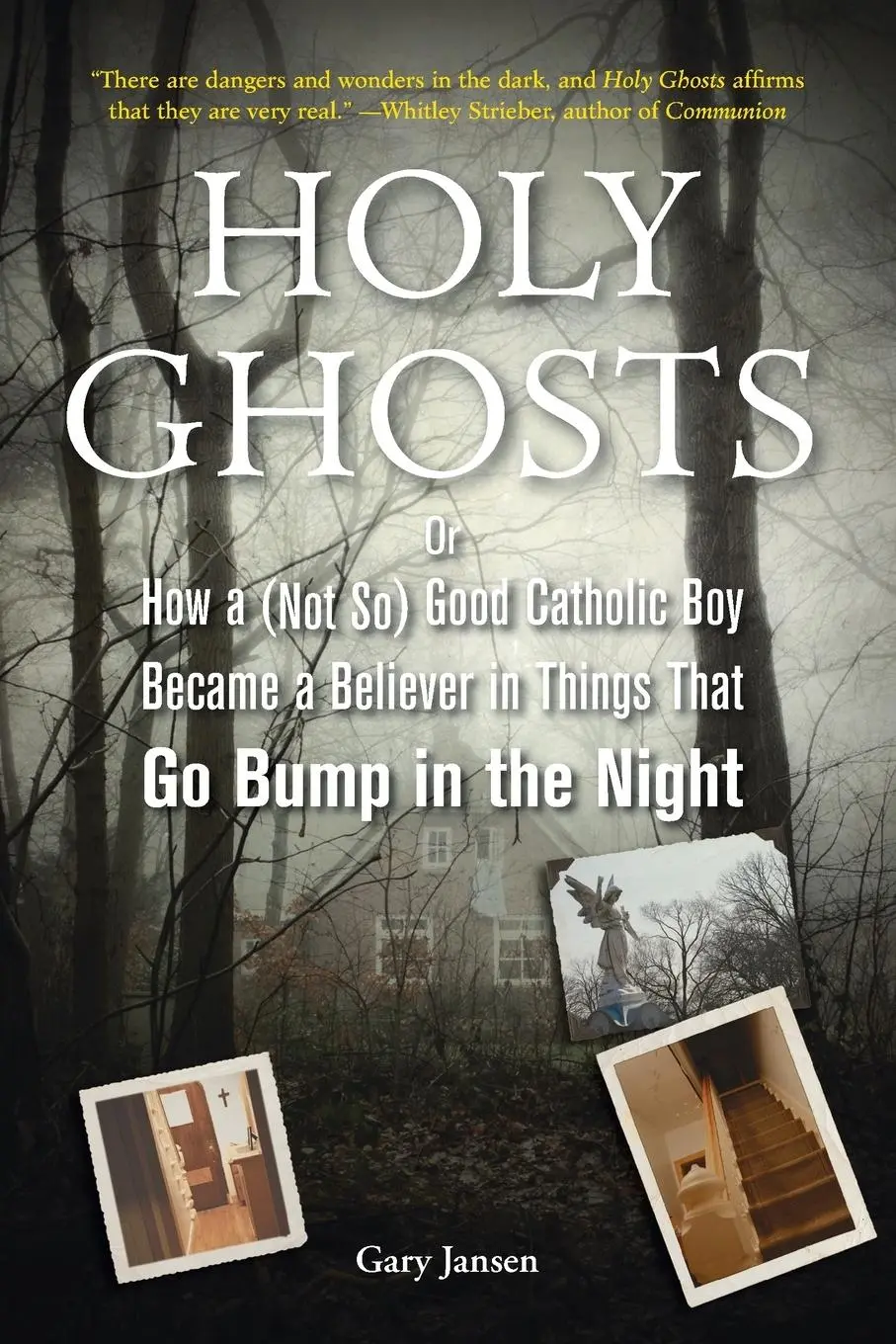 Cover: 9781585428953 | Holy Ghosts | Gary Jansen | Taschenbuch | Einband - flex.(Paperback)