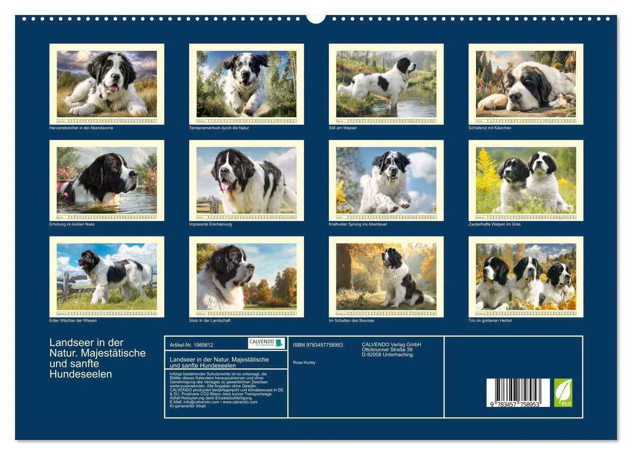 Bild: 9783457758953 | Landseer in der Natur. Majestätische und sanfte Hundeseelen...