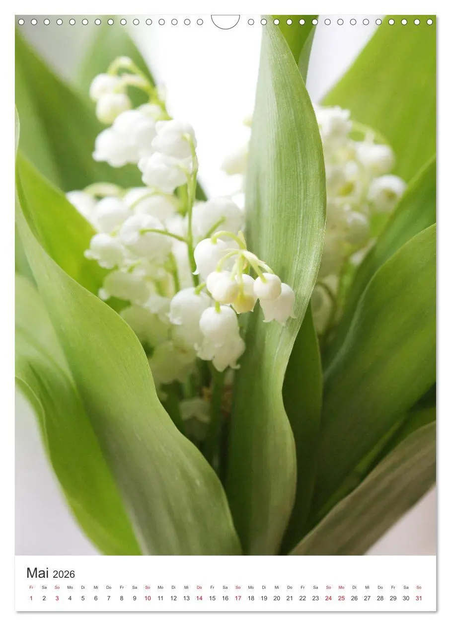 Bild: 9783516398953 | Verliebt in Blumen (Wandkalender 2026 DIN A3 hoch), CALVENDO...
