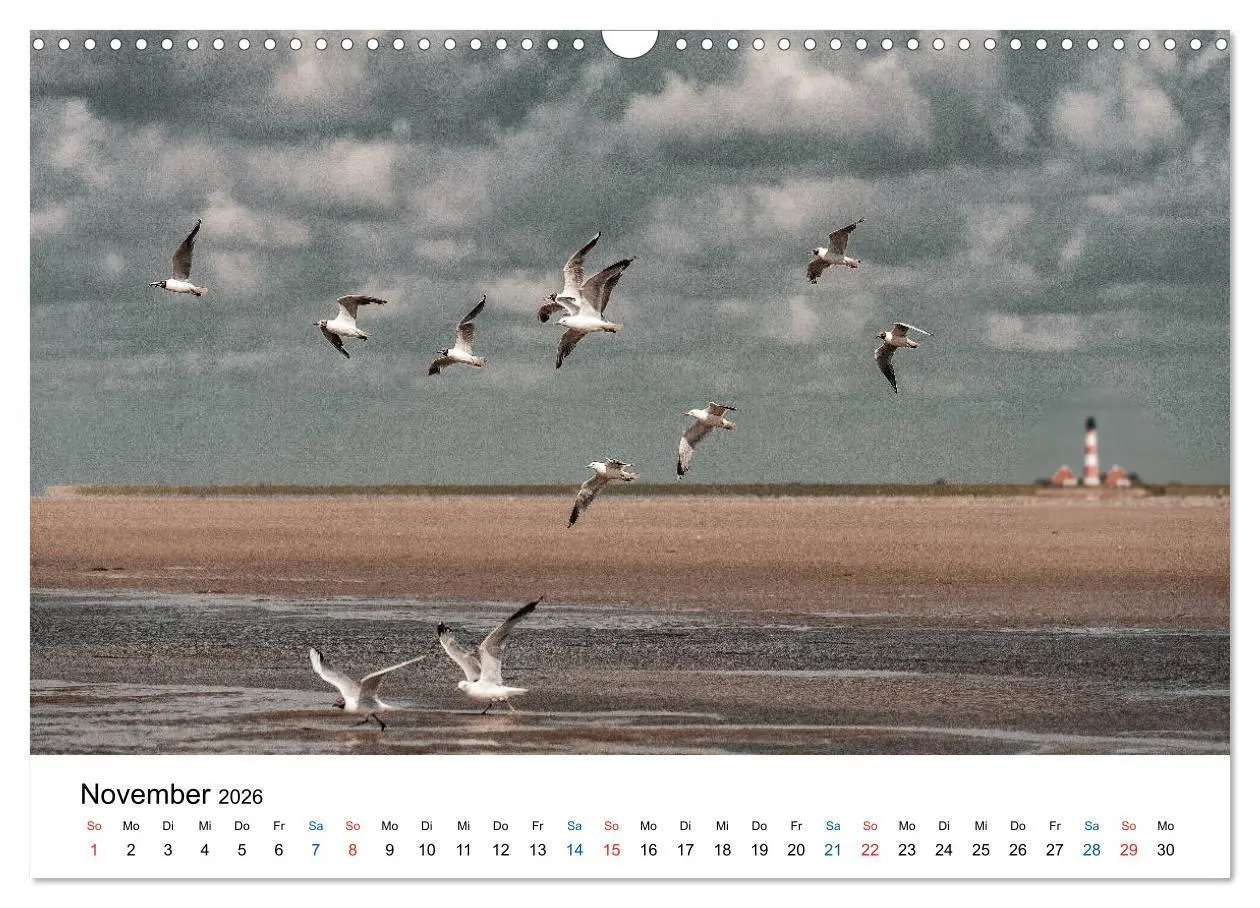 Bild: 9783457719053 | Lichtstimmungen in Sankt Peter-Ording (Wandkalender 2026 DIN A3...