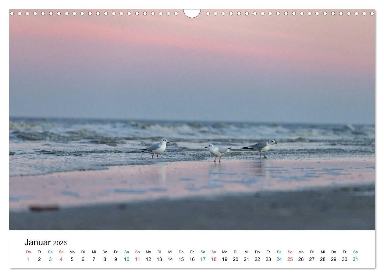Bild: 9783457719053 | Lichtstimmungen in Sankt Peter-Ording (Wandkalender 2026 DIN A3...