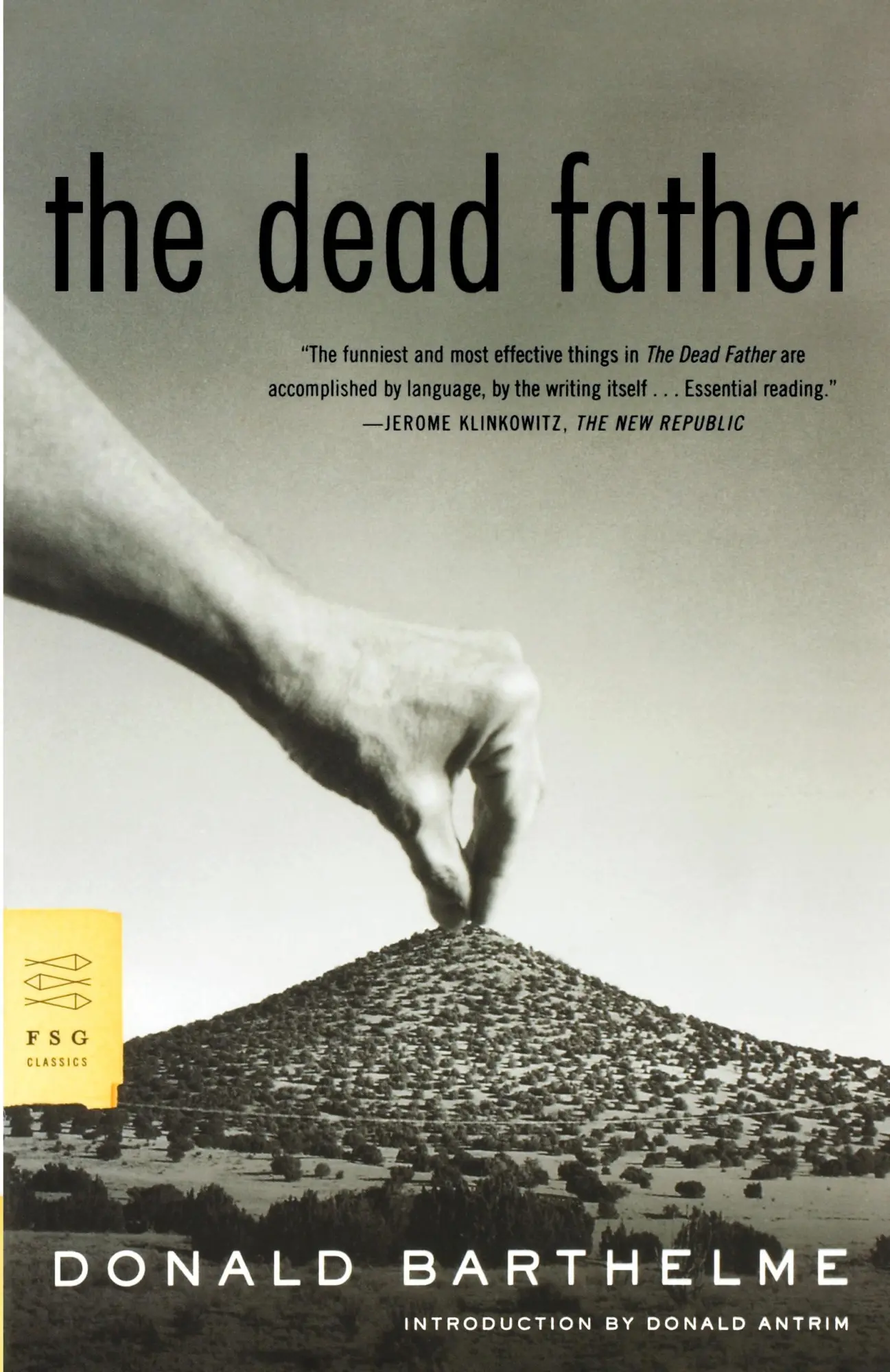 Cover: 9780374529253 | The Dead Father | Donald Barthelme | Taschenbuch | Englisch | 2004