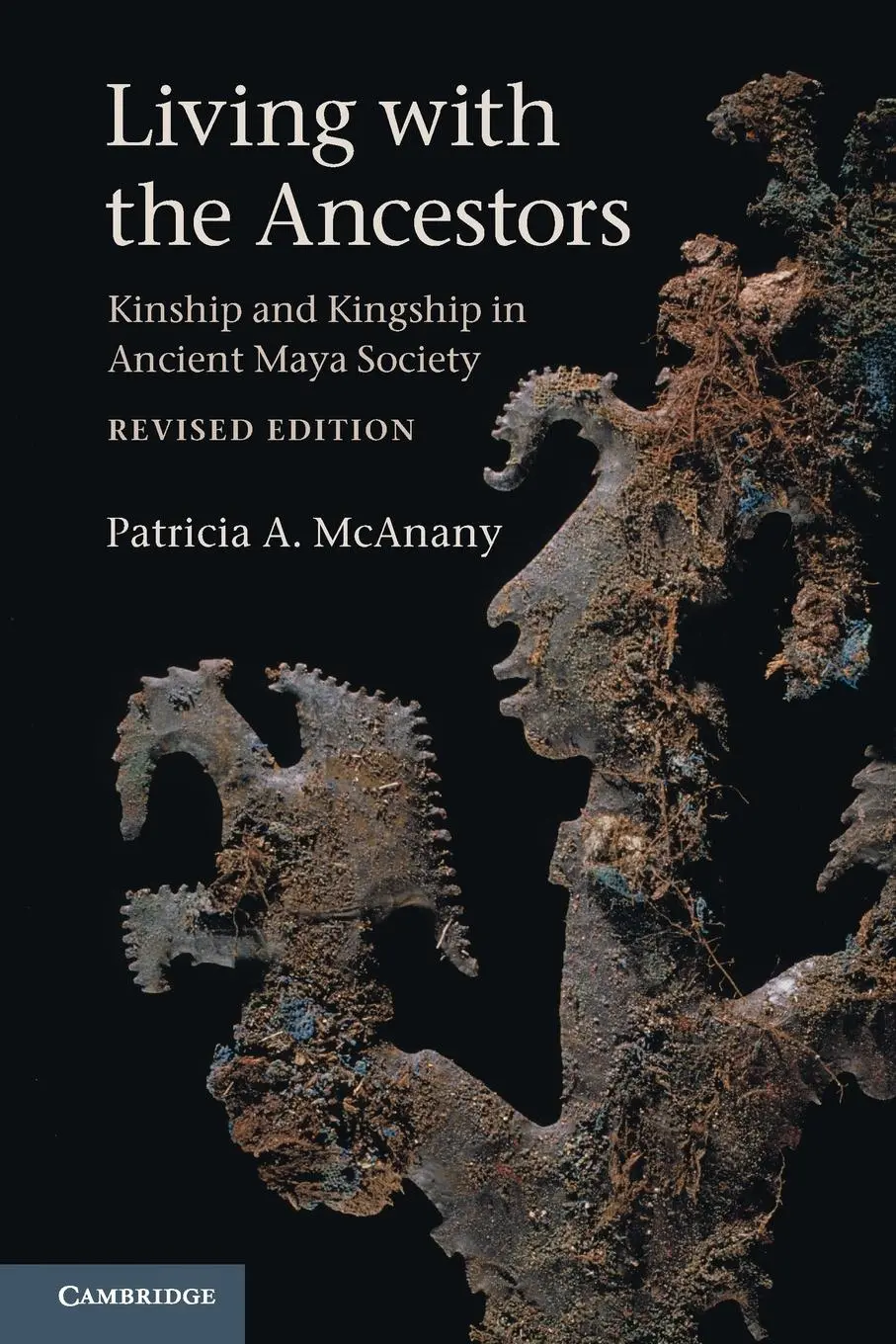 Cover: 9780521719353 | Living with the Ancestors | Patricia McAnany | Taschenbuch | Englisch