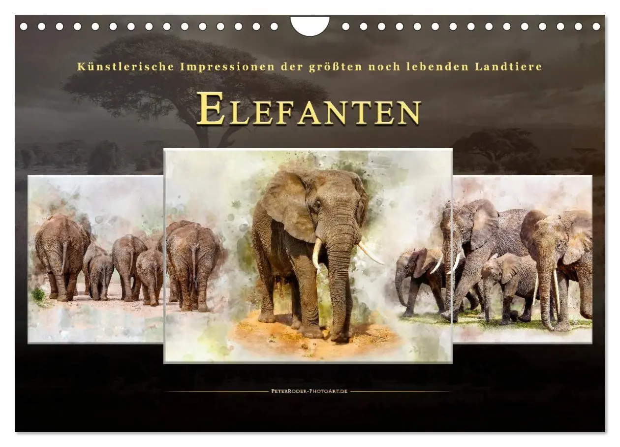Cover: 9783457929353 | Elefanten - künstlerische Impressionen der größten noch lebenden...