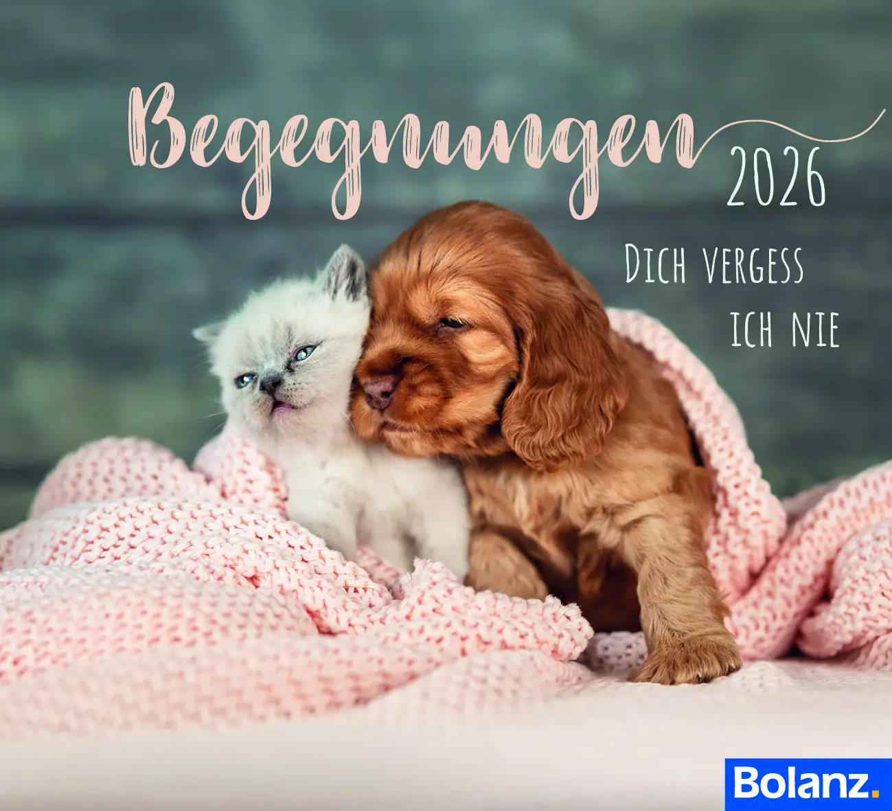Cover: 9783866039353 | Begegnungen 2026 | Dich vergess ich nie. Minikalender | Sonstiges