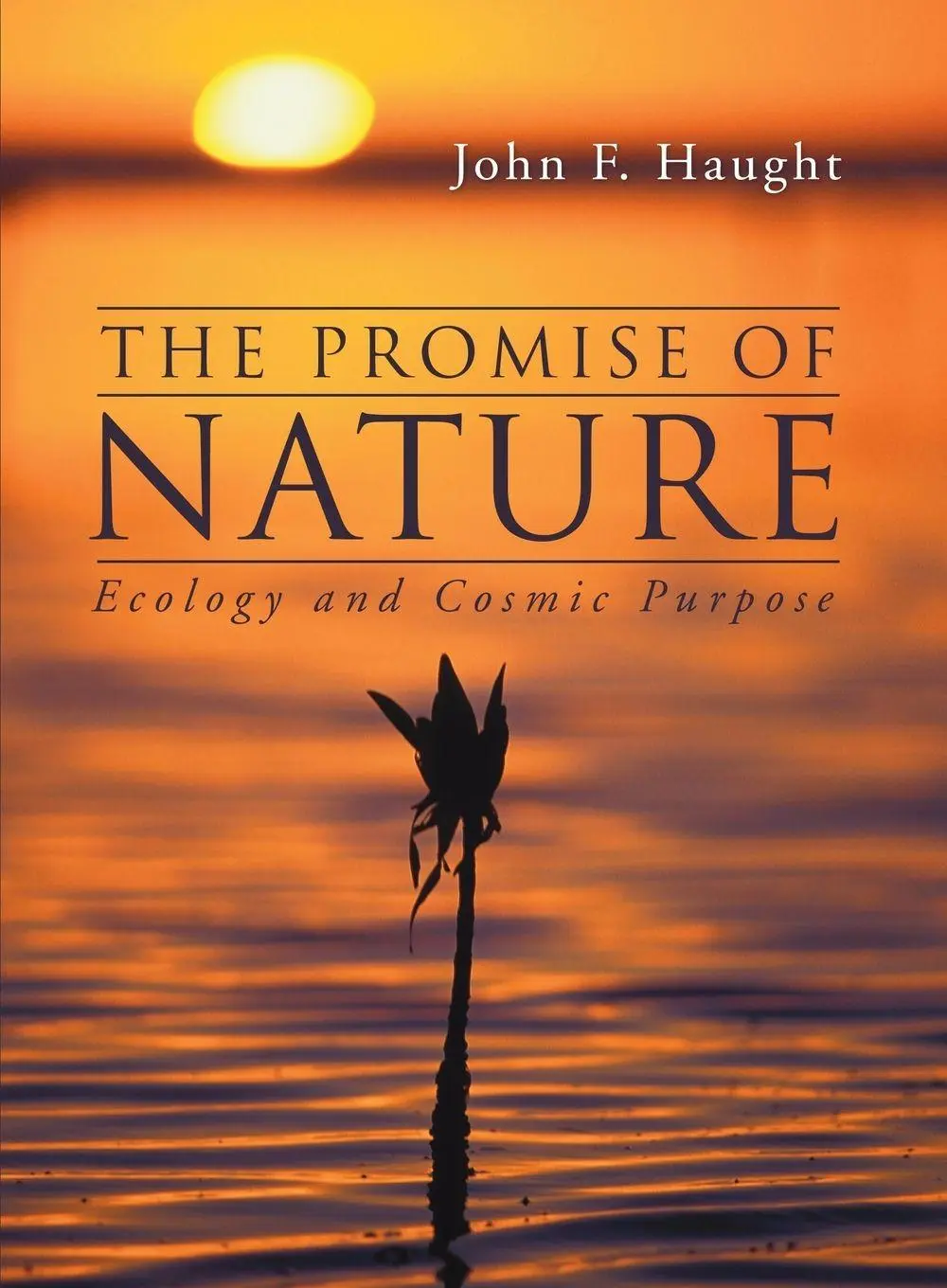 Cover: 9781592449453 | The Promise of Nature | John F. Haught | Taschenbuch | Englisch | 2004