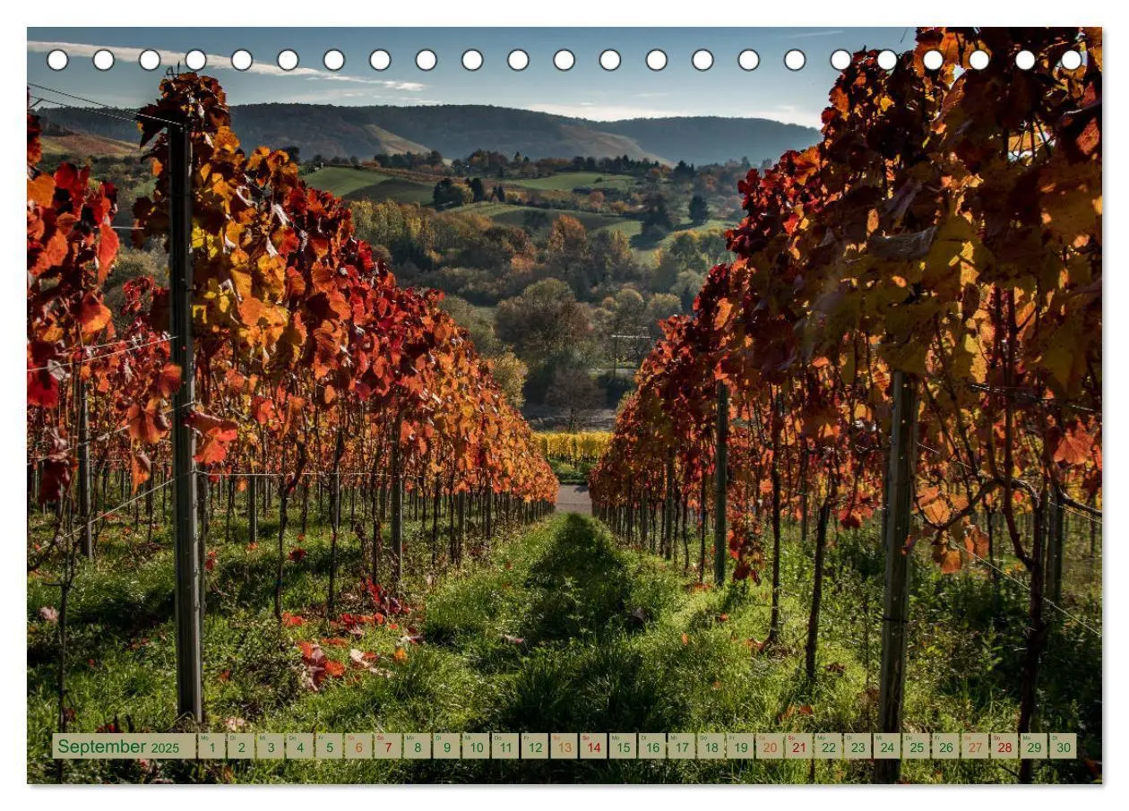 Bild: 9783435449453 | Heilbronner Landpartie (Tischkalender 2025 DIN A5 quer), CALVENDO...