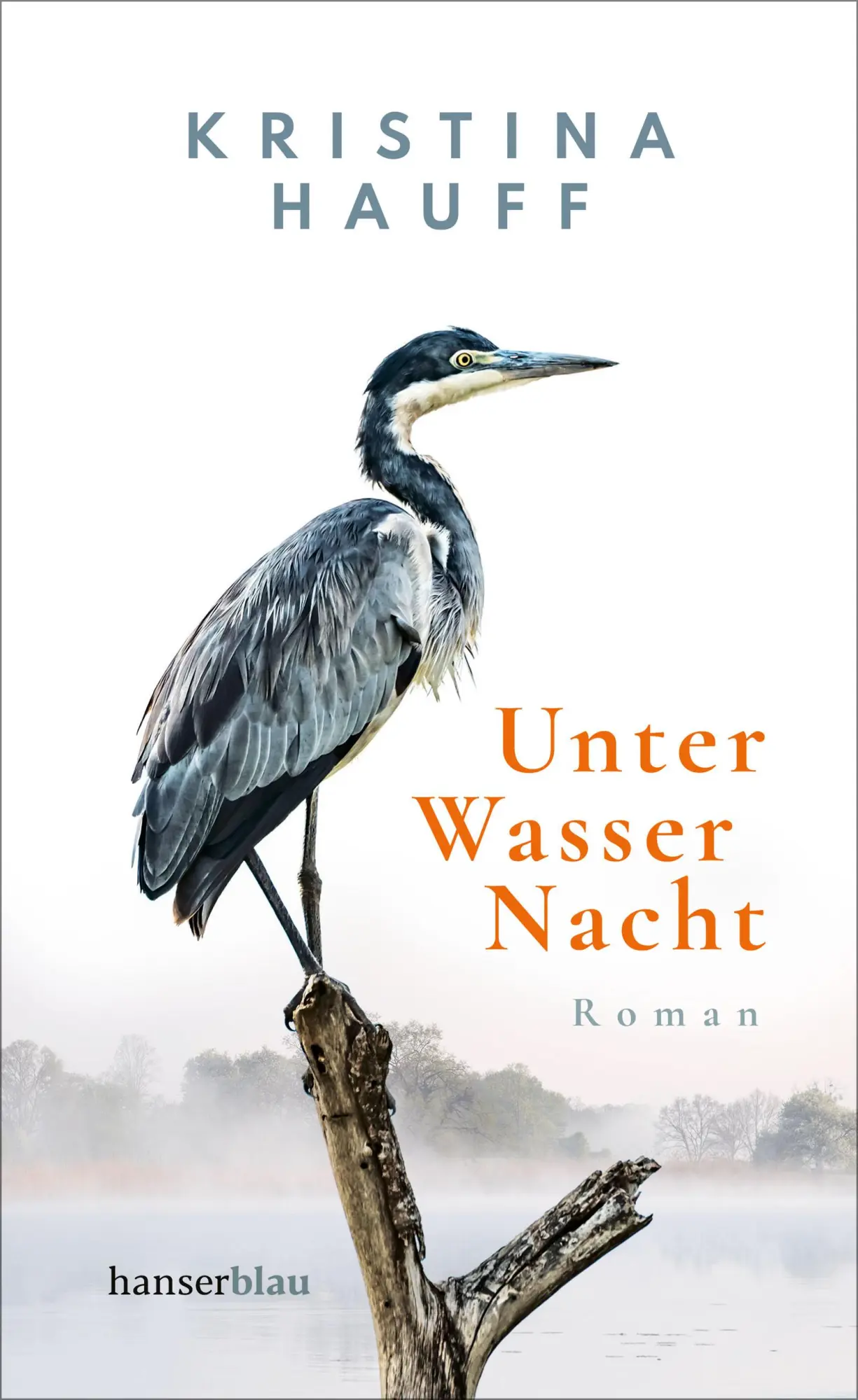 Cover: 9783446269453 | Unter Wasser Nacht | Roman | Kristina Hauff | Buch | 288 S. | Deutsch
