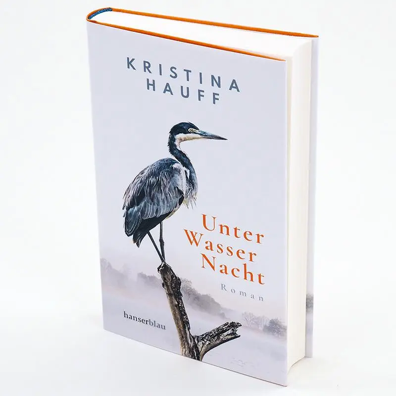 Bild: 9783446269453 | Unter Wasser Nacht | Roman | Kristina Hauff | Buch | 288 S. | Deutsch