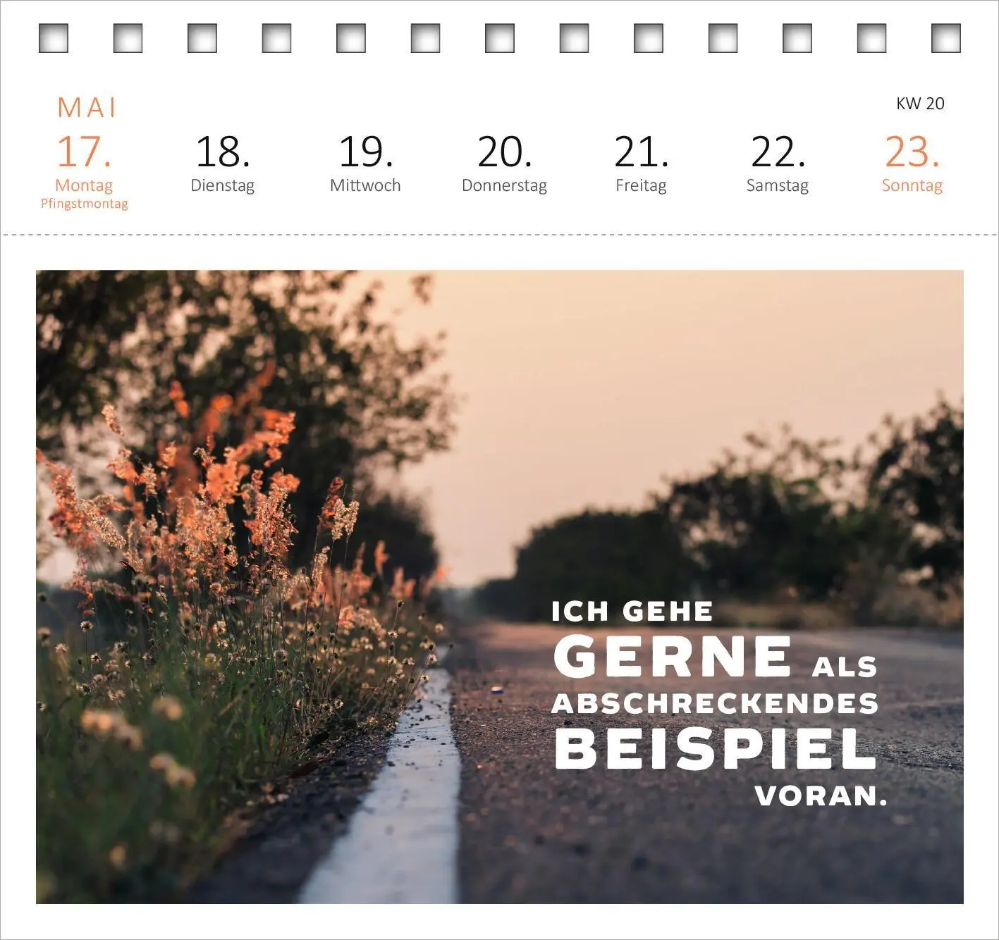 Bild: 4014489139553 | Postkartenkalender Vom Rande des Wahnsinns aus kenne ich den Weg,...