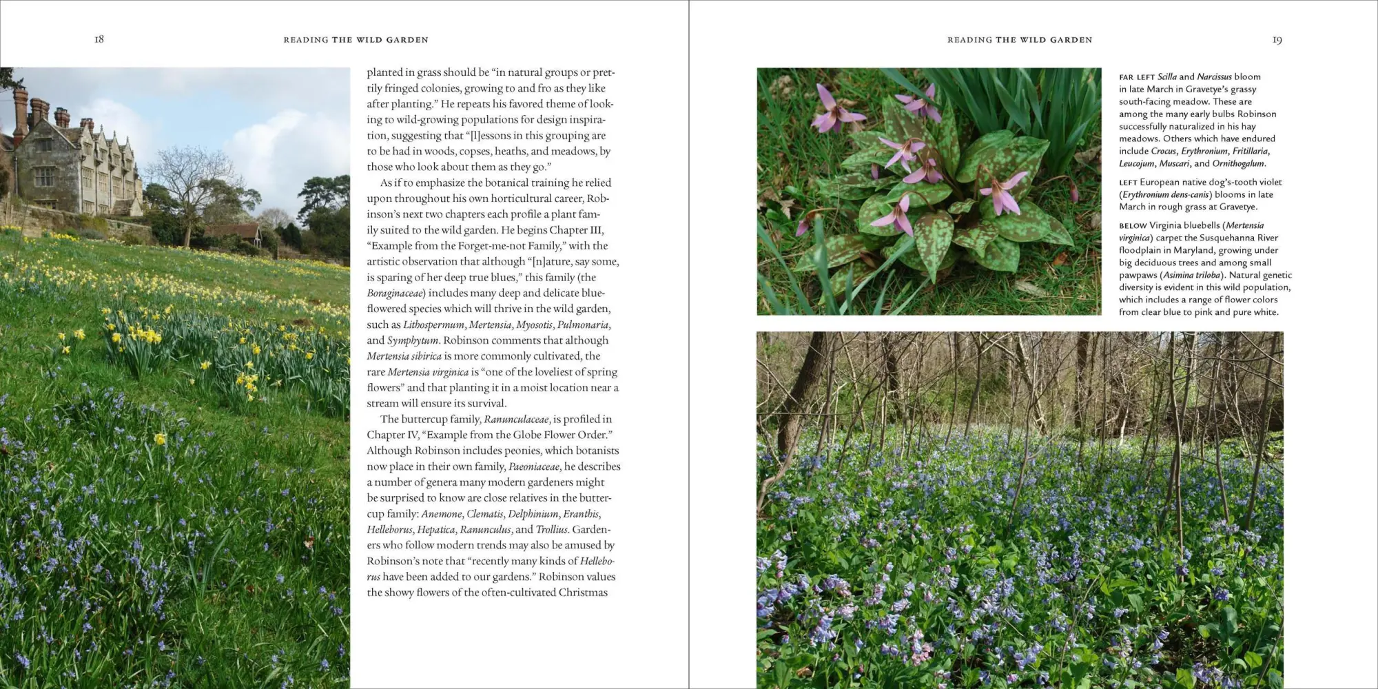 Bild: 9780881929553 | The Wild Garden | William Robinson | Buch | Gebunden | Englisch | 2009